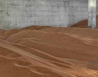 Елеватори Держрезерву в новому сезоні планують прийняти 600 тис. тонн зерна